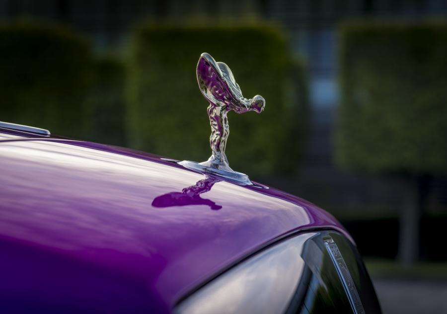 Логотип Rolls-Royce Dawn in Fuxia 2017 года  (фото 6 из 14)